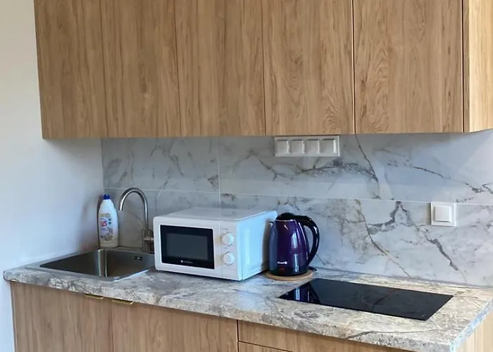 Apartamento Apartel24pl Ryzowa House Self Check-in *