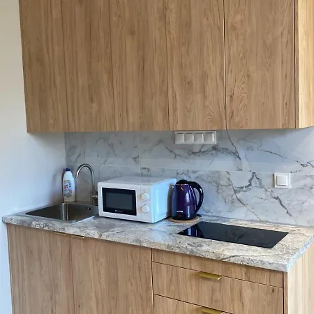 Apartment Apartel24pl Ryzowa House Self Check-in *